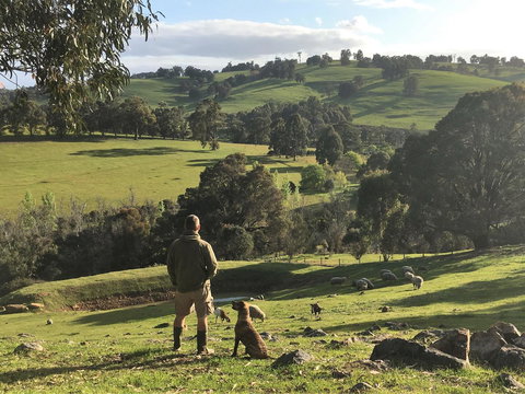 Balingup Highview Chalets - Darwin Holiday 27