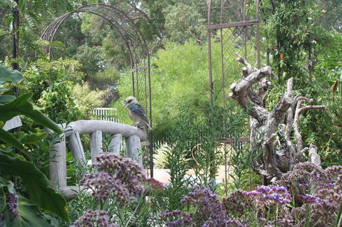Rosebridge House Bed & Breakfast Adult Retreat - Darwin Holiday 12