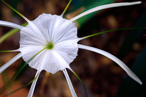 Habitat Resort - Darwin Holiday 39
