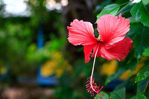 Habitat Resort - Darwin Holiday 41