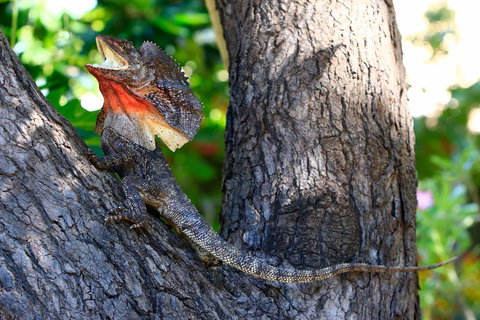 Habitat Resort - Darwin Holiday 40