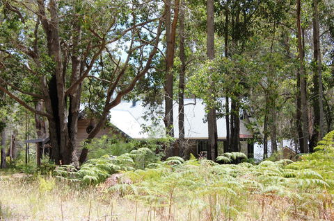Scotsdale Valley Studios - Darwin Holiday 12
