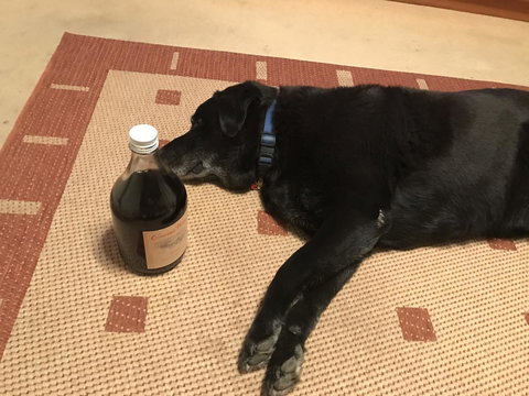 Busselton Guest House - Darwin Holiday 14