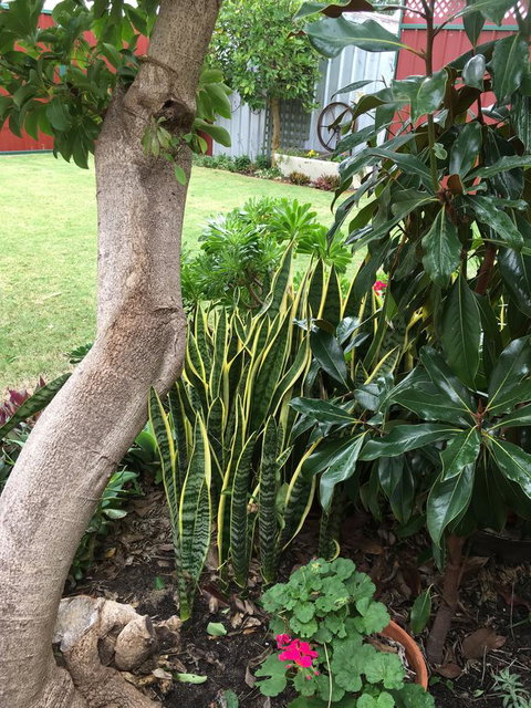 Bluebird Cottage - Darwin Holiday 30