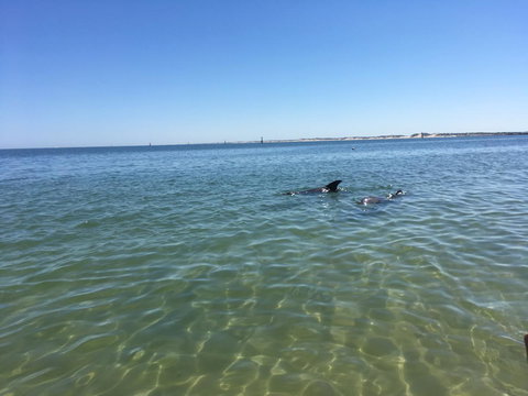Bluebird Cottage - Darwin Holiday 39