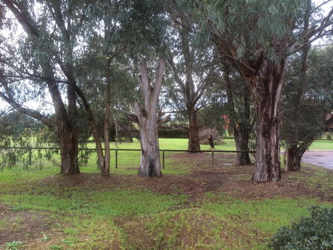 Nivalis Bed And Breakfast - Darwin Holiday 29