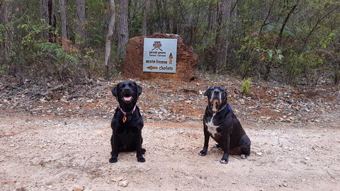 Jarrah Grove Forest Retreat - Darwin Holiday 21
