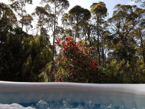 Jarrah Grove Forest Retreat - Darwin Holiday 13