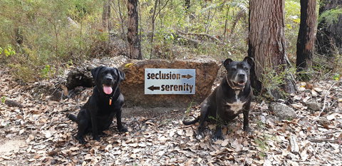 Jarrah Grove Forest Retreat - Darwin Holiday 23