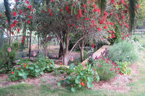Bentwood Olive Grove Accommodation - Darwin Holiday 21