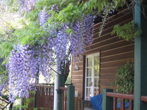 RoseMoore Bed & Breakfast - Darwin Holiday 11