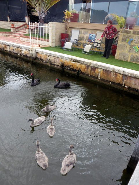 Yunderup Kannie Kottage - Darwin Holiday 14