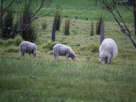 Tanen Farm - Darwin Holiday 11