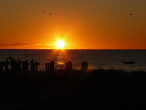 Jurien Bay Tourist Park - Darwin Holiday 28