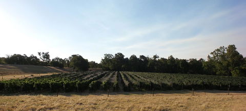 Windfall Estate Vineyard Cottage - Darwin Holiday 28