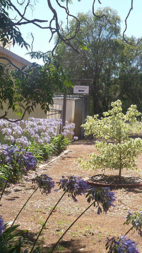 Windfall Estate Vineyard Cottage - Darwin Holiday 13