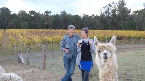 Windfall Estate Vineyard Cottage - Darwin Holiday 11