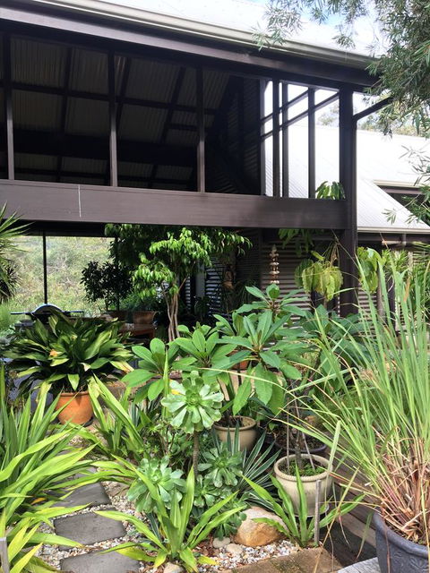 DESIGNER'S STUDIO - Darwin Holiday 12