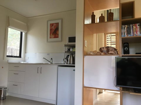 DESIGNER'S STUDIO - Darwin Holiday 6