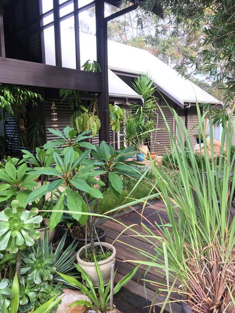 DESIGNER'S STUDIO - Darwin Holiday 19