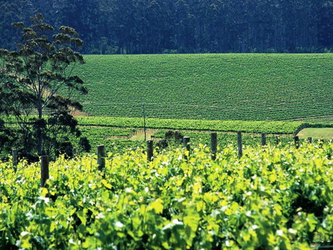 The Pemberton Hotel - Darwin Holiday 5