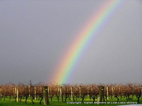 The Pemberton Hotel - Darwin Holiday 41