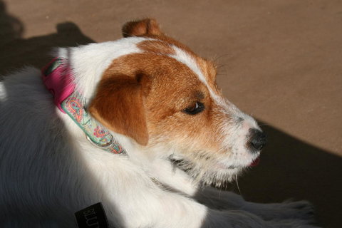 Bremer Bay B&B - Darwin Holiday 25