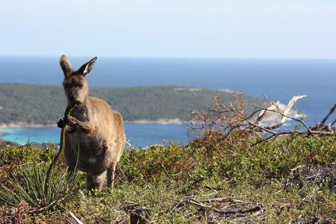 Bremer Bay B&B - Darwin Holiday 30