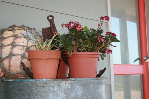 Bremer Bay B&B - Darwin Holiday 28