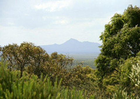 Bremer Bay B&B - Darwin Holiday 32