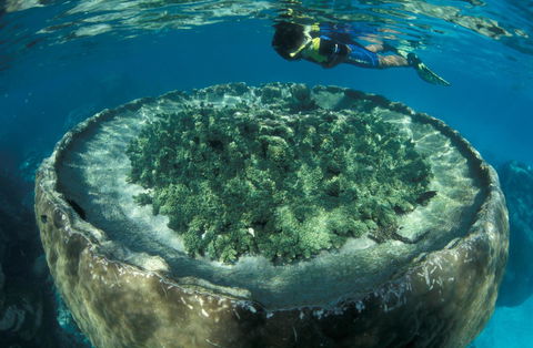 Sal Salis Ningaloo Reef - Darwin Holiday 8