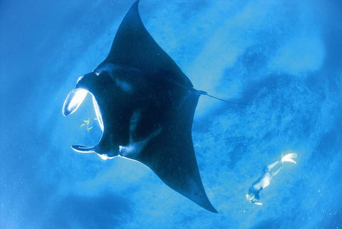 Sal Salis Ningaloo Reef - Darwin Holiday 28