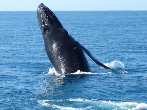 Sienna Lodge - Darwin Holiday 35