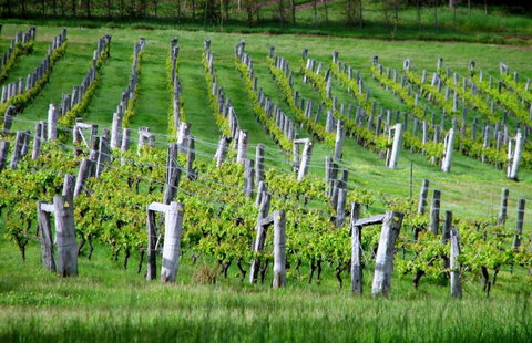 Sienna Lodge - Darwin Holiday 13