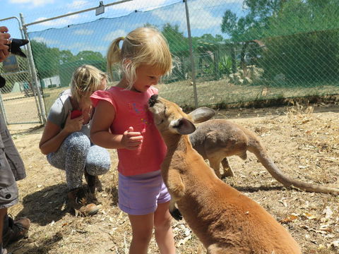 Jurien Beachfront Holiday Units - Darwin Holiday 36