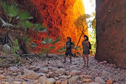 Bungle Bungle Wilderness Lodge - Darwin Holiday 13