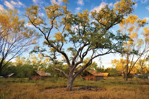 Bungle Bungle Wilderness Lodge - Darwin Holiday 11