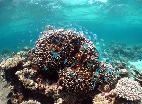 Ningaloo Coral Bay â€“ Bayview - Darwin Holiday 2