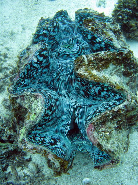 Ningaloo Coral Bay â€“ Bayview - Darwin Holiday 5