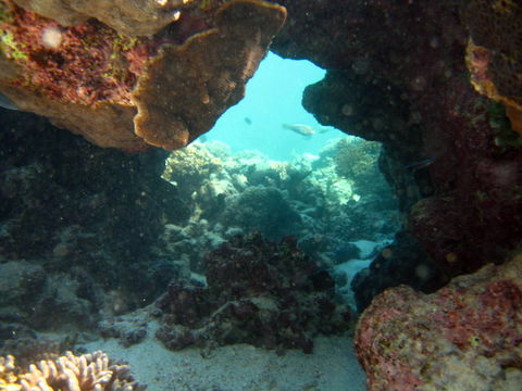 Ningaloo Coral Bay â€“ Bayview - Darwin Holiday 4