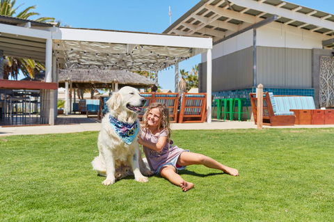 RAC Monkey Mia Dolphin Resort - Darwin Holiday 35