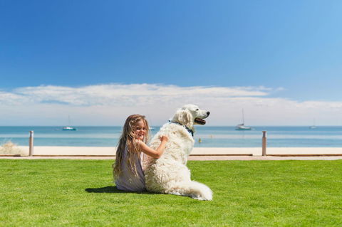 RAC Monkey Mia Dolphin Resort - Darwin Holiday 36