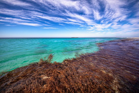 Discovery Resorts - Rottnest Island - Darwin Holiday 24