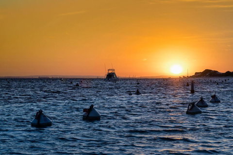 Discovery Resorts - Rottnest Island - Darwin Holiday 27