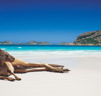 The Shiralee - Darwin Holiday
