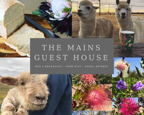 The Mains Guest House 2 Bedroom Farm Stay - Darwin Holiday 0