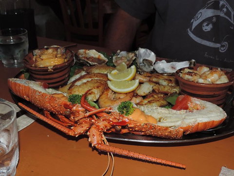 Wildsights Villas - Darwin Holiday 13