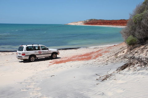 Wildsights Villas - Darwin Holiday 12