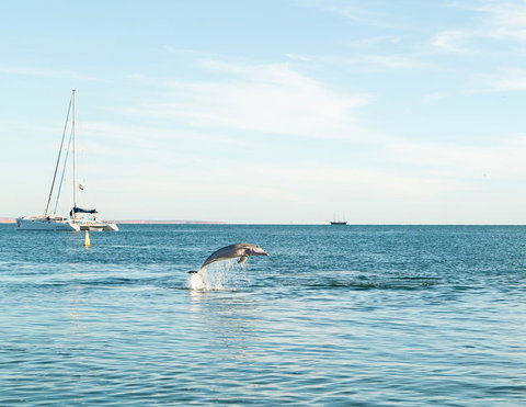 Wildsights Villas - Darwin Holiday 11