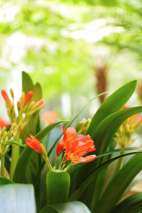 Bunbury Hotel Koombana Bay - Darwin Holiday 19